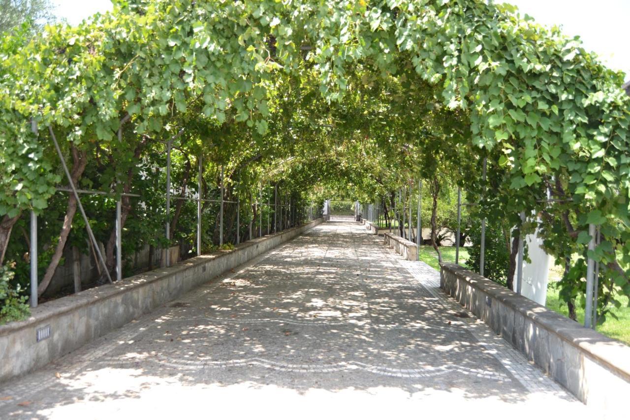 Villa I Giardini Del Vesuvio à Somma Vesuviana Extérieur photo