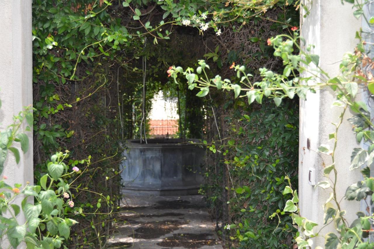 Villa I Giardini Del Vesuvio à Somma Vesuviana Extérieur photo